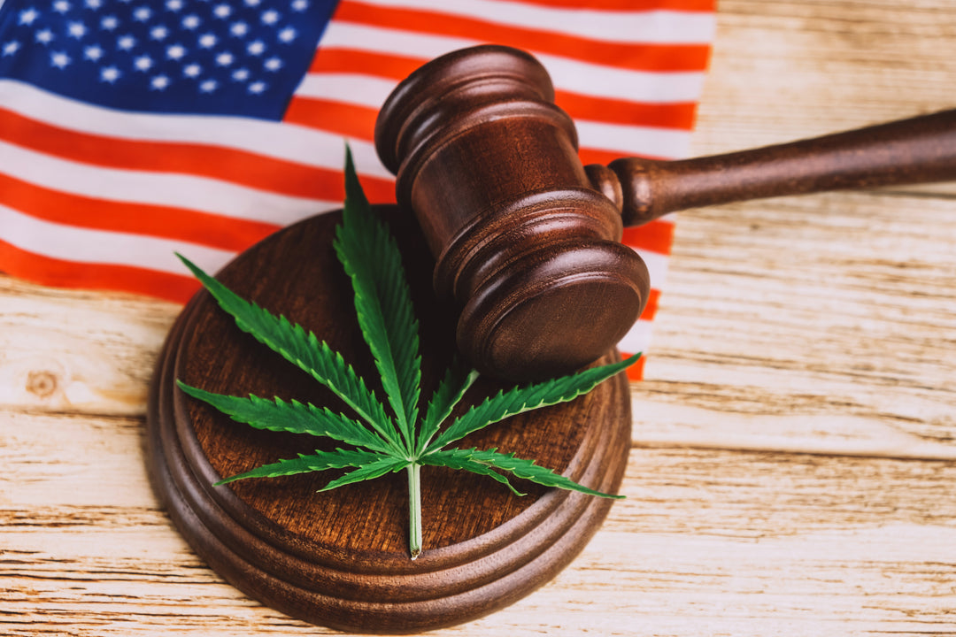 Why Cannabis Should Be Legal in All 50 States: A Compelling Case for Marijuana Legalization